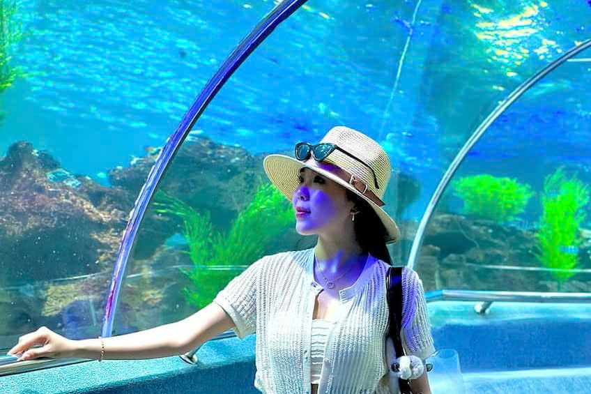 Thủy cung VinWonders Nha Trang: Mở cửa đón khách