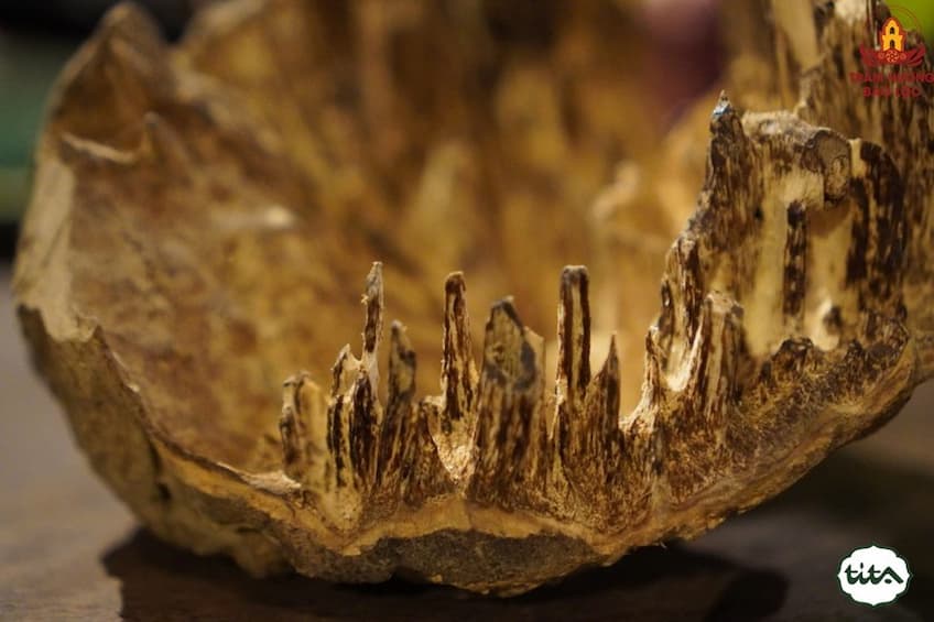 Tìm hiểu Trầm Hương khi đi du lịch Nha Trang