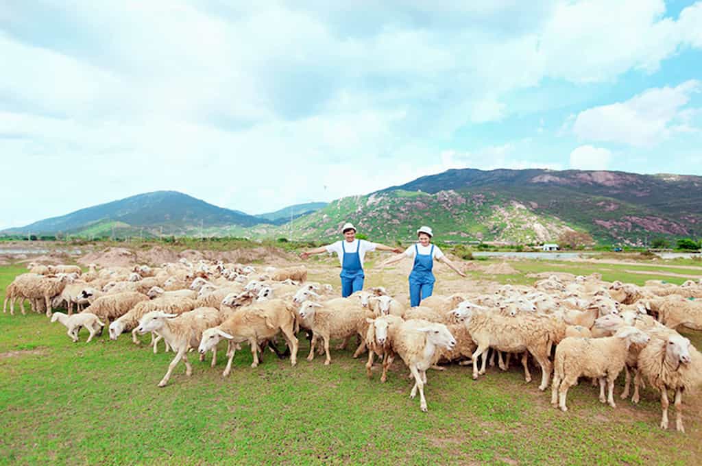 ĐỒI CỪU SUỐI TIÊN