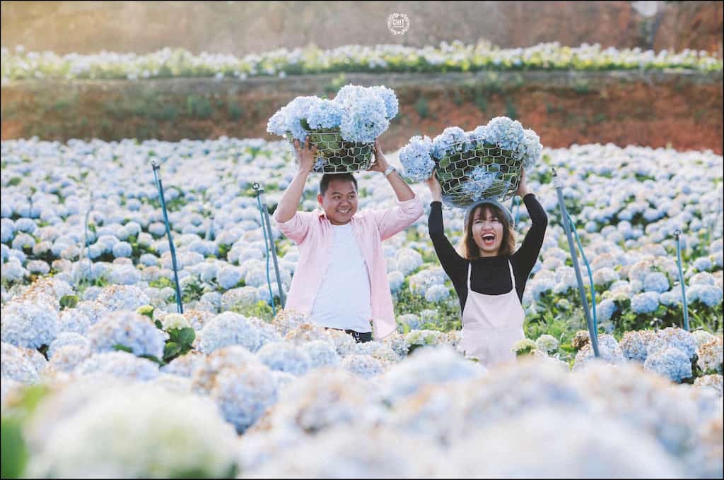 CANH HOA HOA CAM TU CAU DA LAT