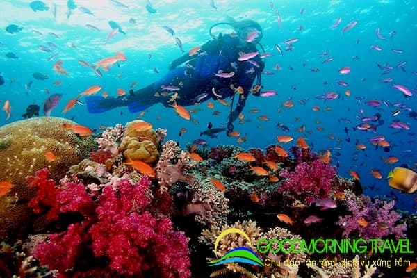 Tư vấn đi tour 3 đảo Nha Trang trọn gói
