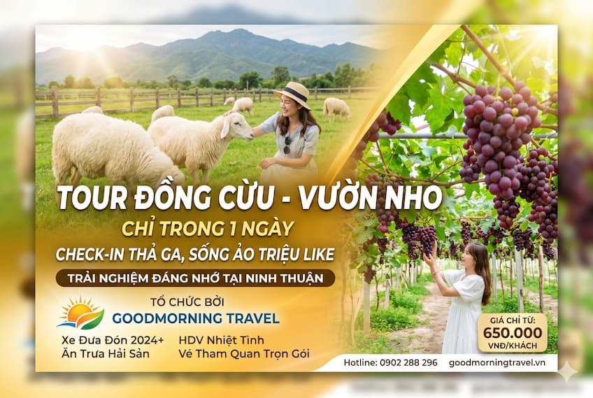 Tour Đồng Cừu - Vườn Nho