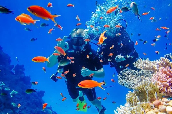 Tour đảo Hòn Mun Nha Trang