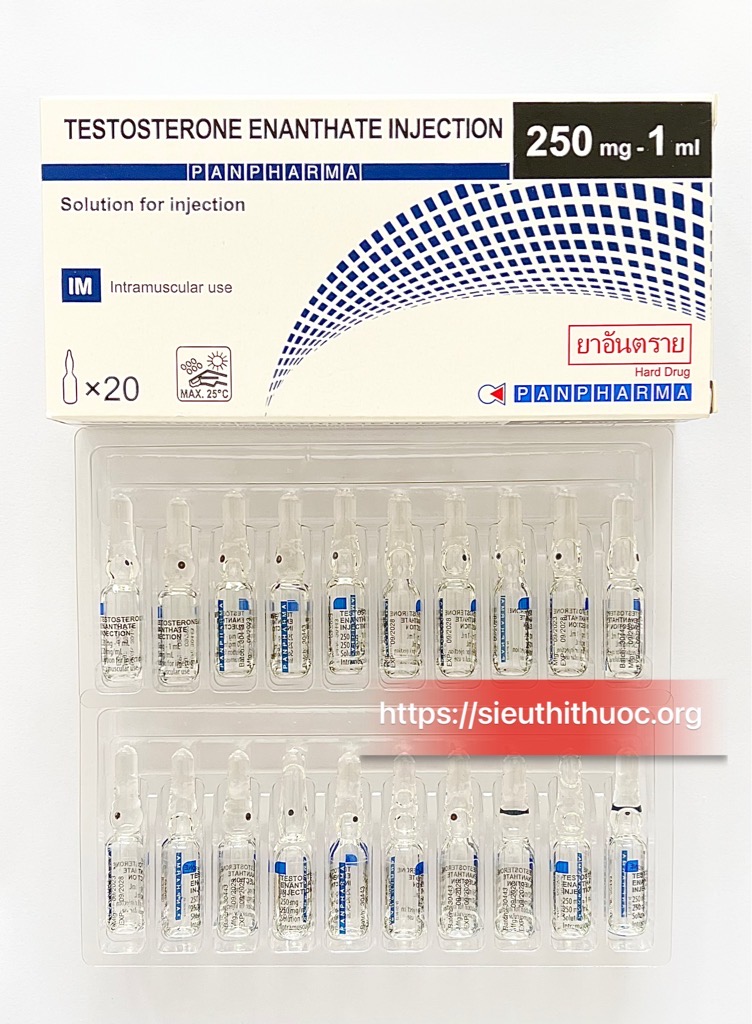 test-e-pan-pharma-testosterone-enantate-250mg-ml-ong-1ml