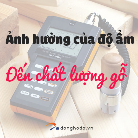 Tầm quan trọng của độ ẩm gỗ đến chất lượng gỗ