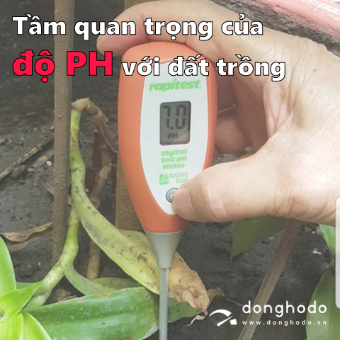 Tầm quan trọng của độ pH đất trong trồng trọt