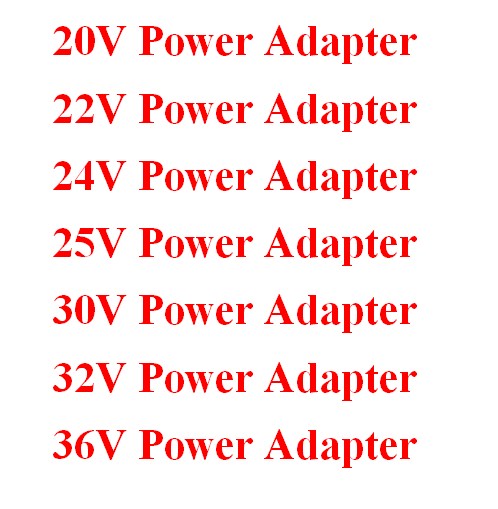 20V 22V 24V 25V 30V 32V 36V Power Adapter