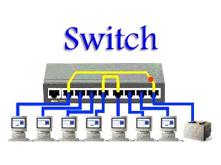 Network Switch Dialog Network Switch
