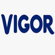 Cáp PLC VIGOR