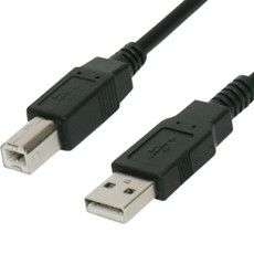 Cáp USB 2.0 Type A to Type B Cable Connector Types