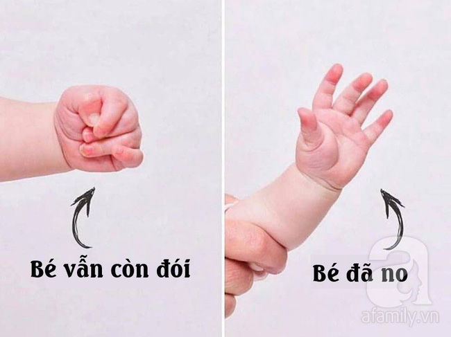 Chỉ cần nhìn dấu hiệu này là biết trẻ sơ sinh đã bú no hay chưa, mẹ bỉm sữa sẽ rất tiếc nếu không biết