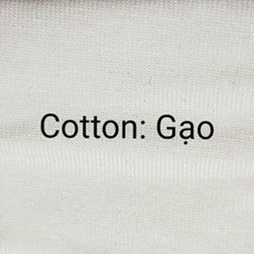 Cotton Gạo