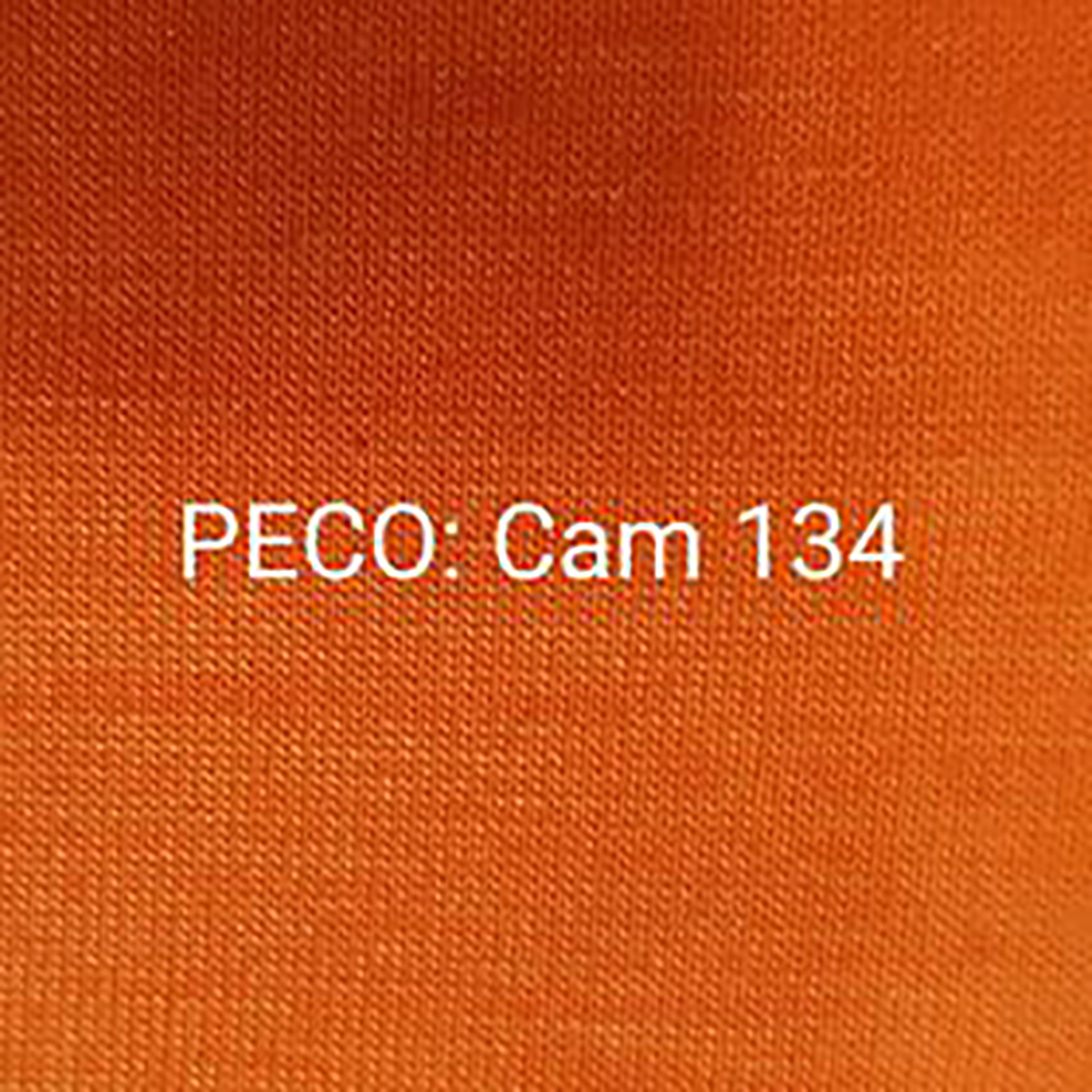 PECO cam 134