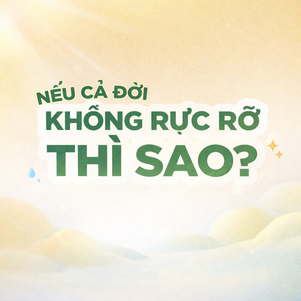 Nếu cả đời này không rực rỡ thì…