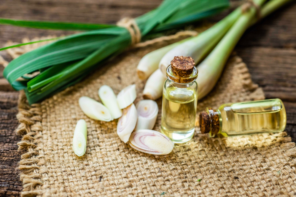 Công Nghệ Đuổi Muỗi – Giải Pháp Hoàn Hảo Bảo Vệ Bé Yêu Từ 0-3 Tuổi!