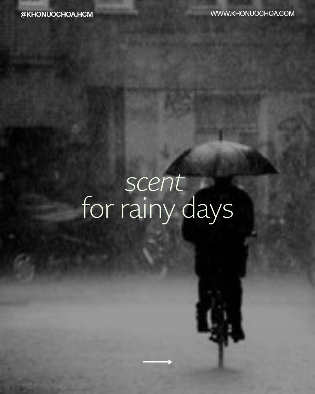Rainy days may come and go 🌧️ But the scent lasts forever.