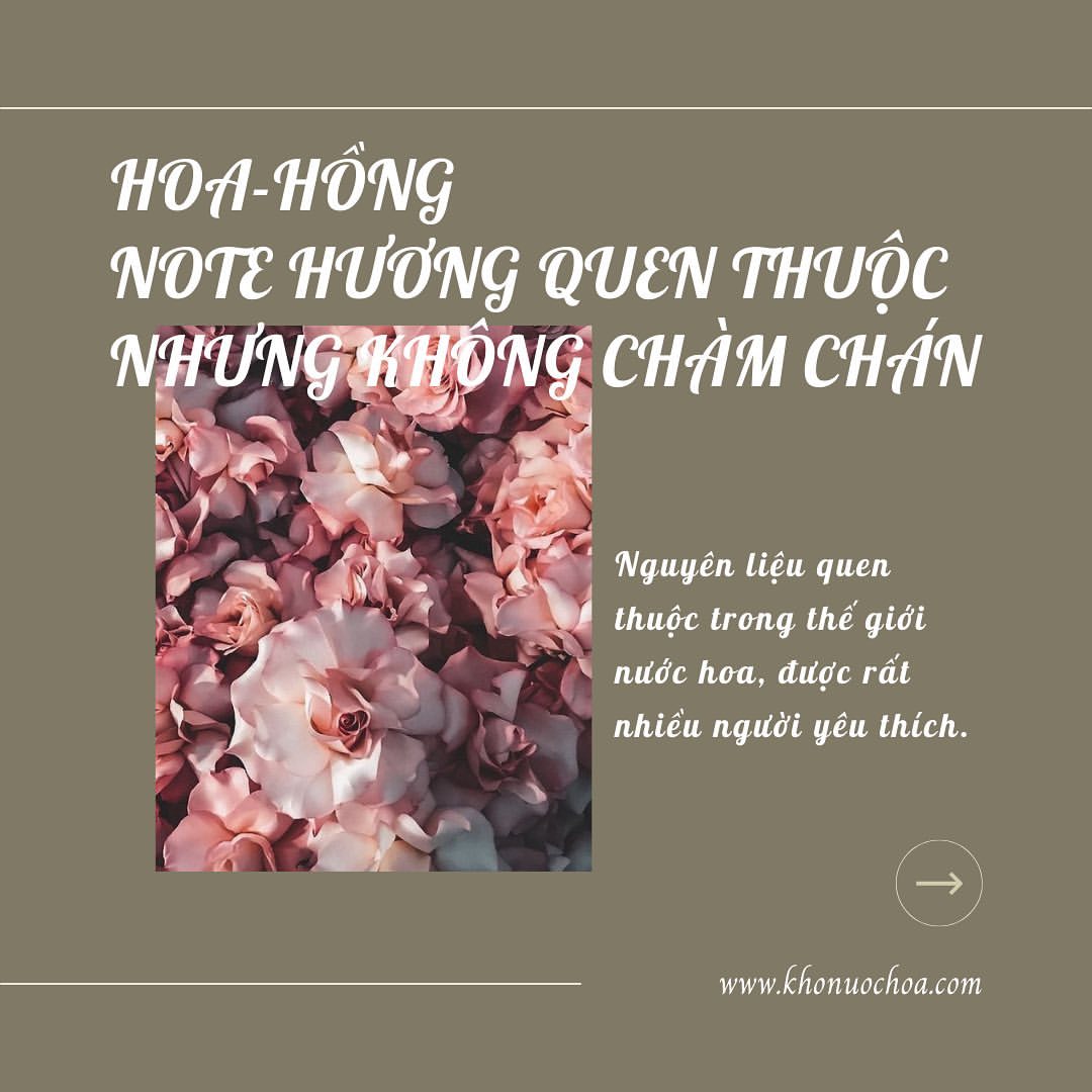 Những chai nước hoa hương hoa-hồng hay nhất💐💐
