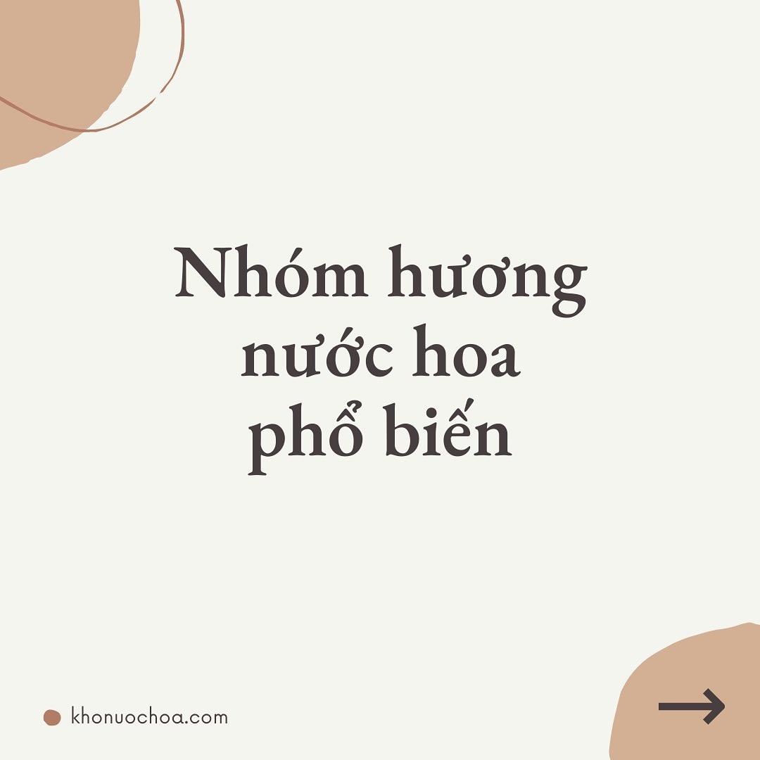 Nhóm hương nước hoa phổ biến✨