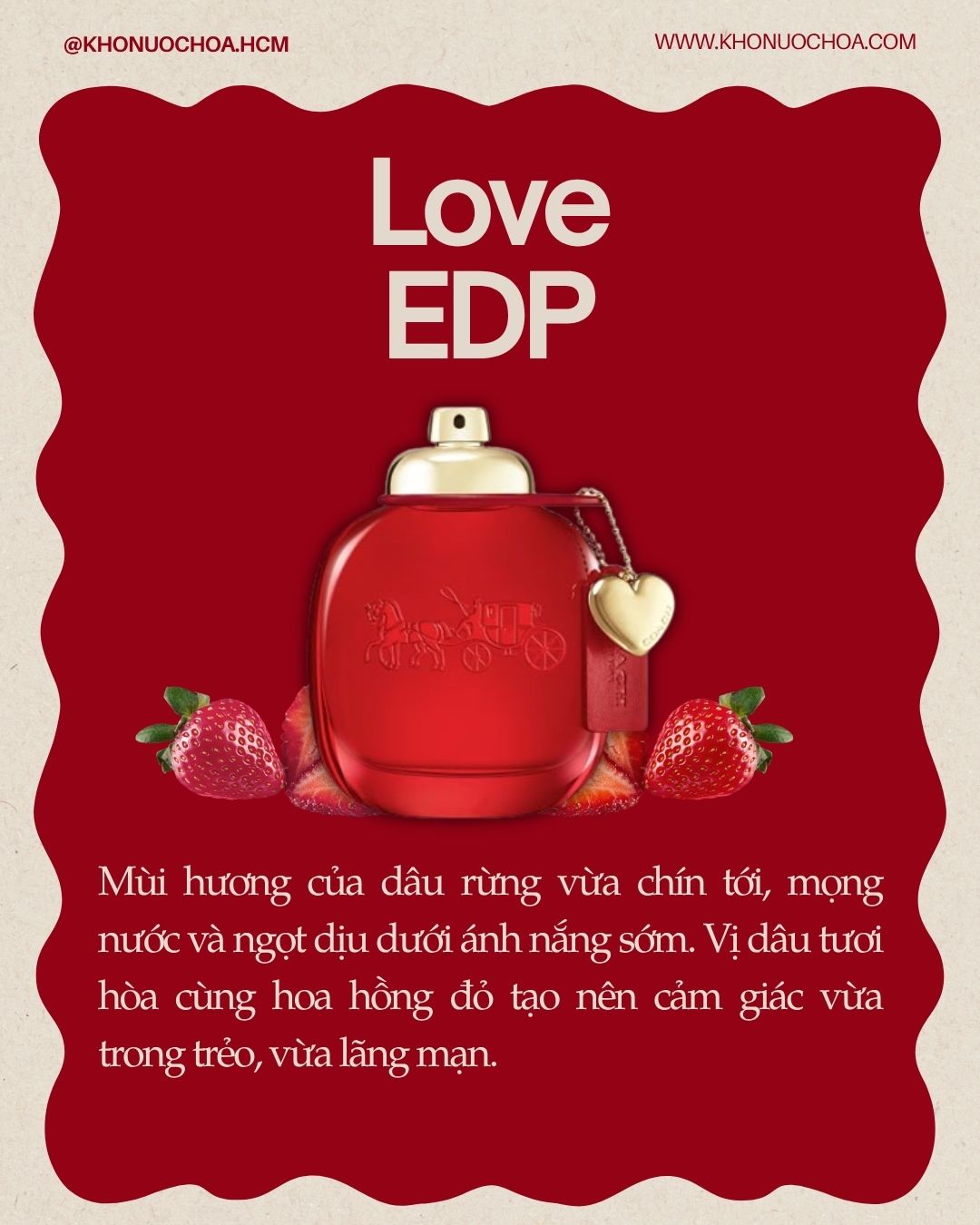 🍓 Các sắc thái của hương dâu trong nước hoa – bạn thích kiểu nào? 🥰