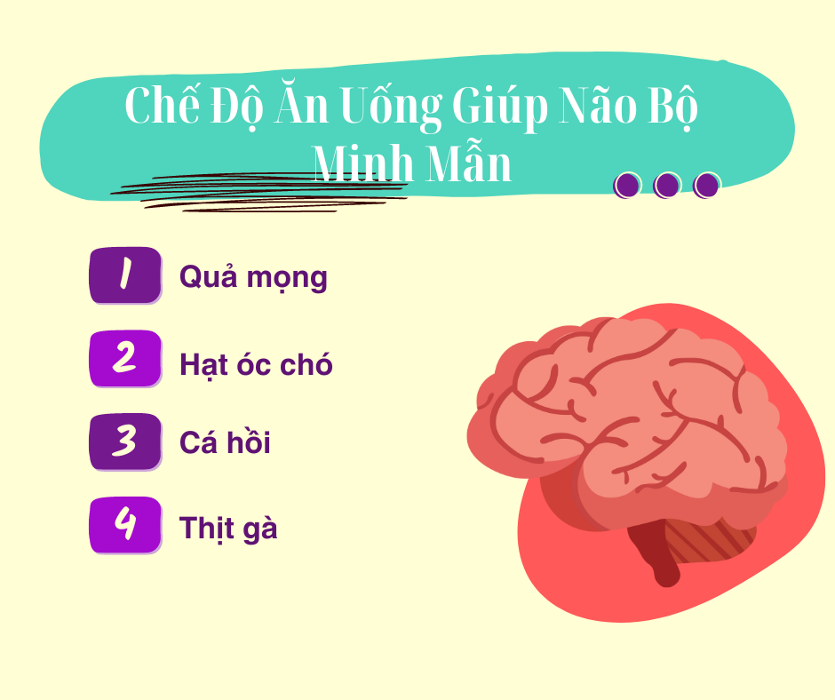 Chế Độ Ăn Uống Giúp Não Bộ Minh Mẫn: Bí Quyết Từ Thực Phẩm và Sản Phẩm Bổ Sung