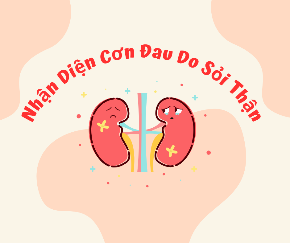 Nhận Diện Cơn Đau Do Sỏi Thận – Dấu Hiệu Không Thể Bỏ Qua!