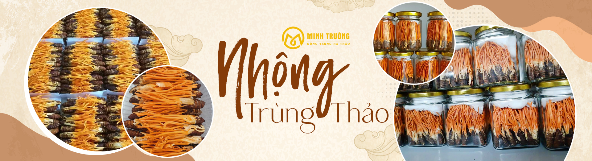 Đông Trùng Hạ Thảo Minh Trường