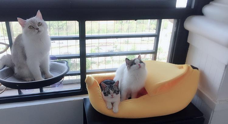 Nhà nệm chó mèo - Nệm cho mèo hình quả chuối có nắp đậy 3 size (Hanpet Nemchuoi 002) Nhà nệm nỉ cho chó mèo thú cưng