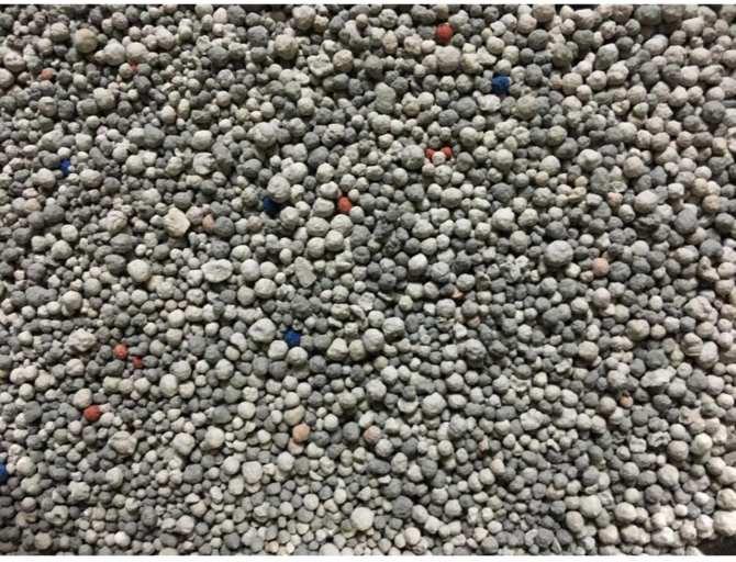 Sunpet 5L (CÁT VỆ SINH CHO mèo) (hanpet 4711427) cát vệ sinh mèo / cát mèo / cát cho mèo / for cats