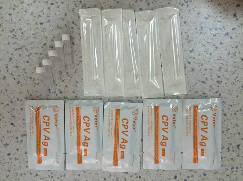 Que test bệnh PARVO và CARE cho chó (hanpet que test) dụng cụ phòng khám chó mèo / que thử bệnh parvo tại nhà / test bệnh care