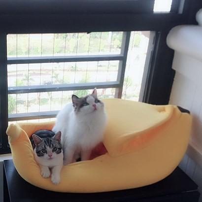 Nhà nệm chó mèo - Nệm cho mèo hình quả chuối có nắp đậy 3 size (Hanpet Nemchuoi 002) Nhà nệm nỉ cho chó mèo thú cưng