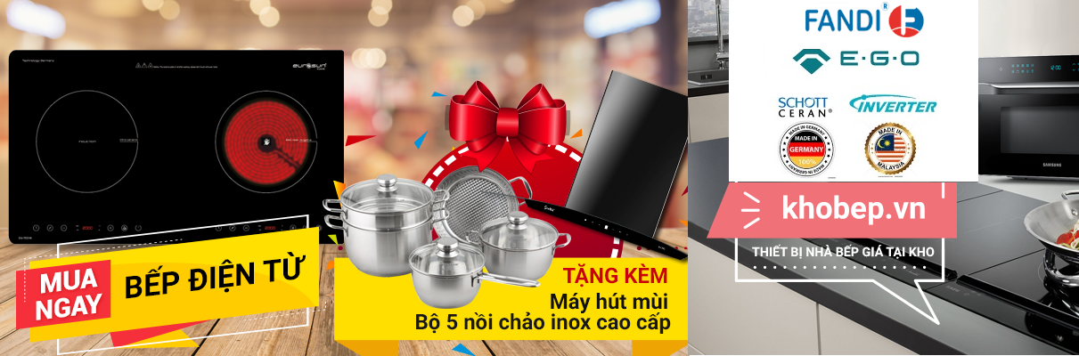 Bếp điện từ kết hợp Fandi