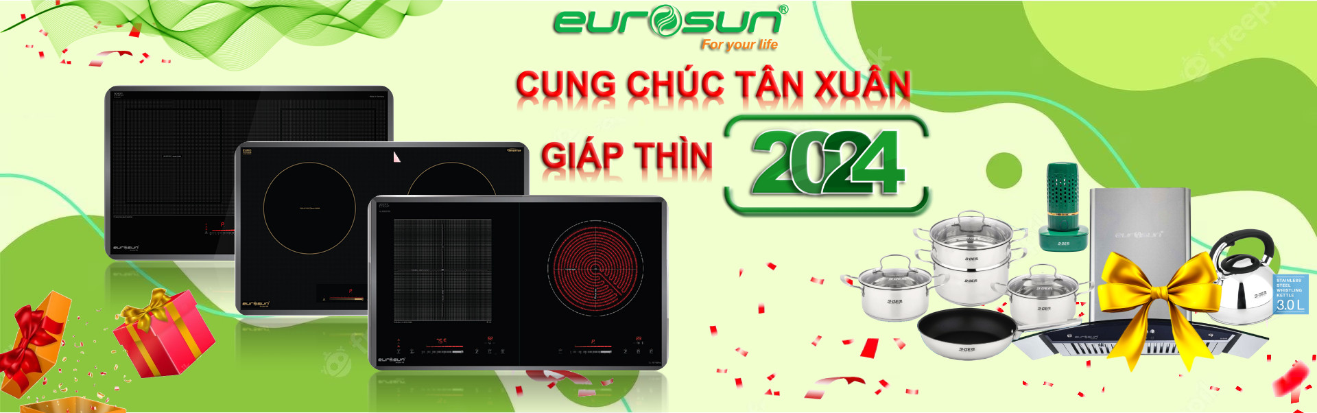 Bếp điện từ Eurosun