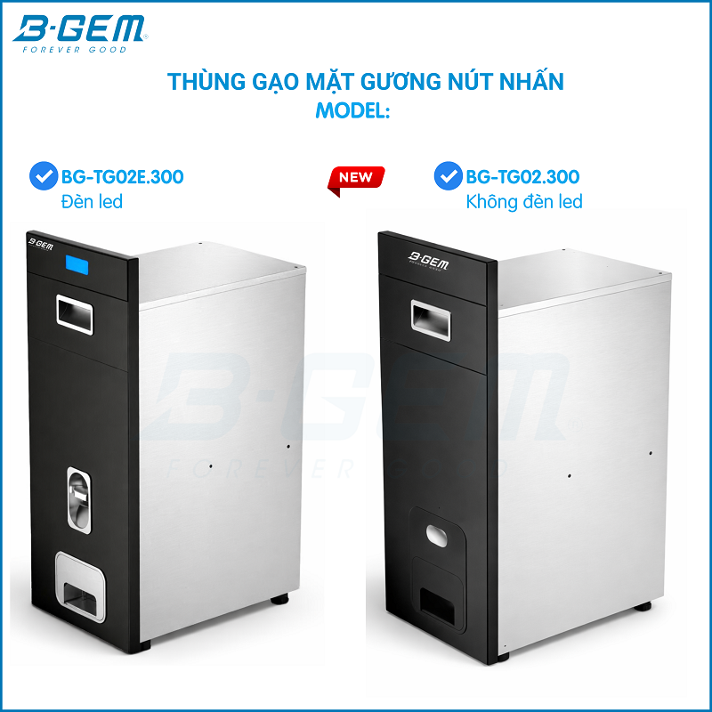 Thùng Gạo B-gem BG-TG02.300 | TG02E.300