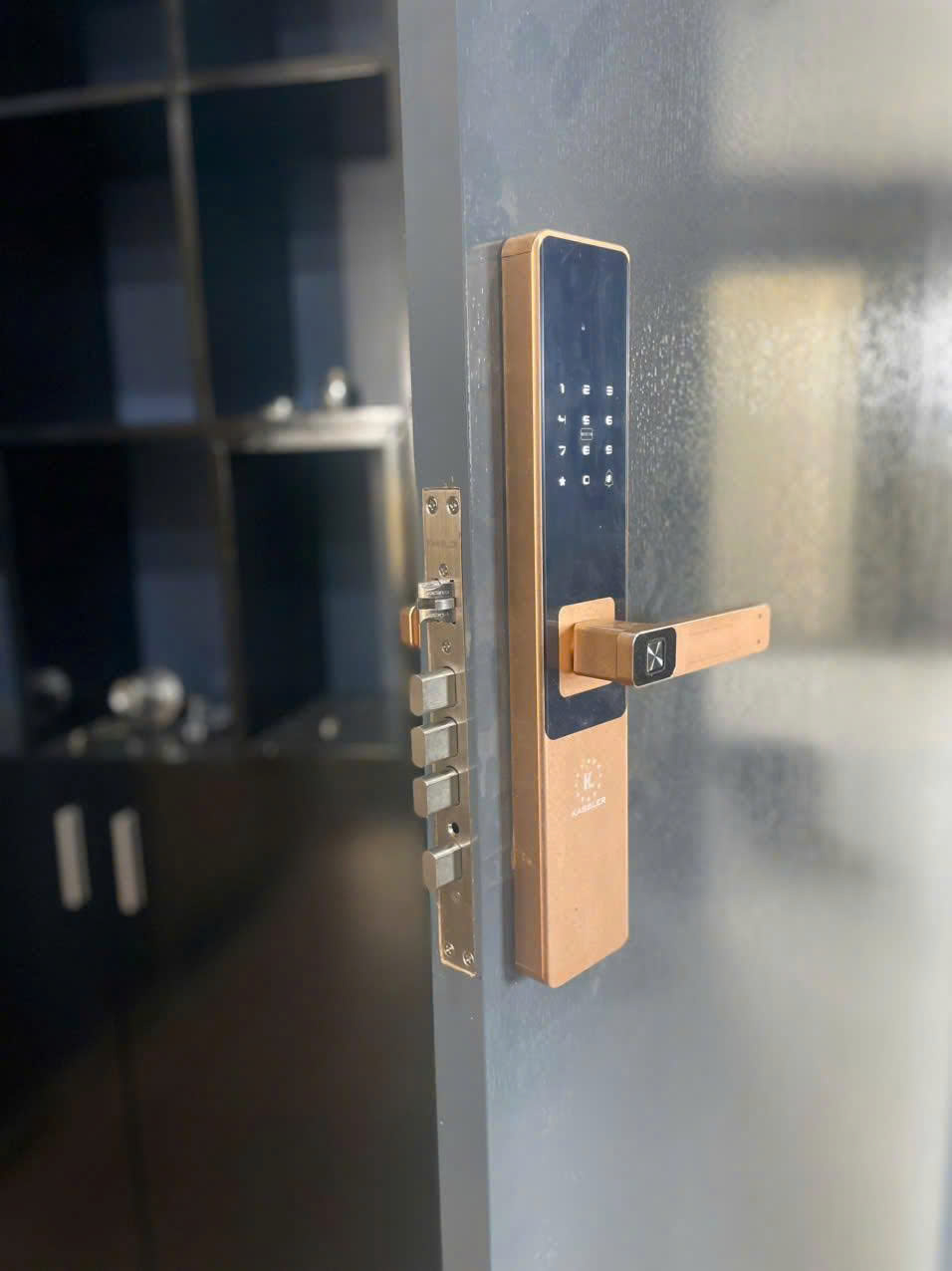 Khóa Điện Tử KASSLER KL-567 CNC GOLD APP TTlock