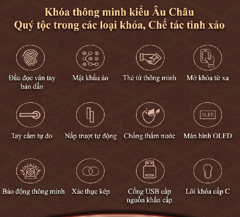 Khóa Điện Tử AVOLOCK AC-8816-G