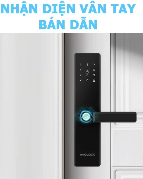 Khóa Điện Tử  AVOLOCK AV-60 Bronze