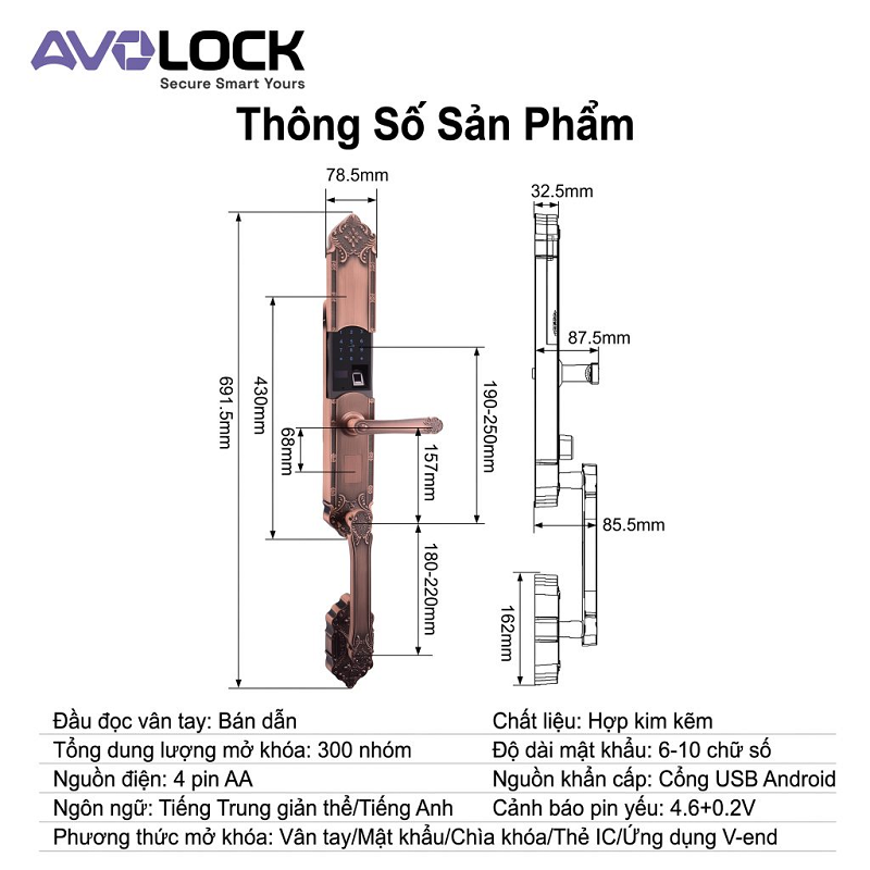 Khóa Điện Tử AVOLOCK AC-9702-G