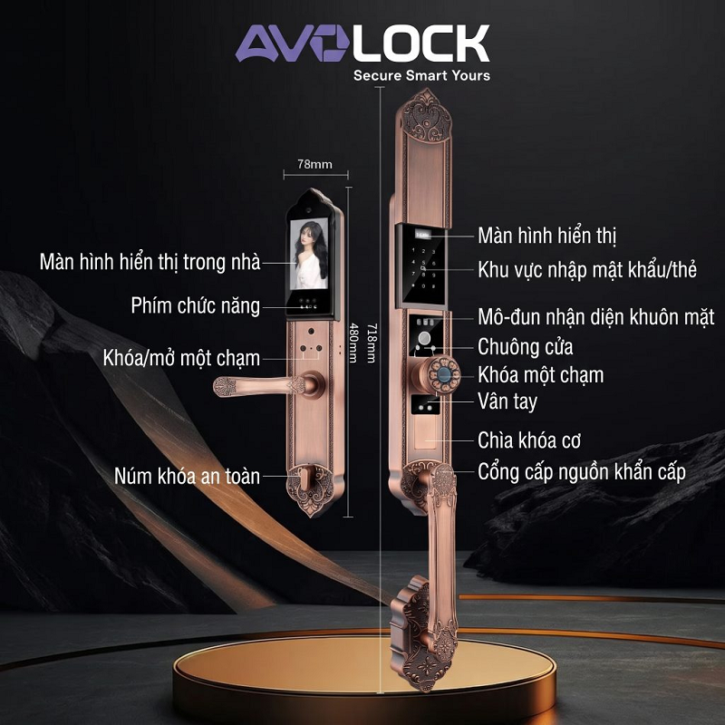 Khóa Điện Tử AVOLOCK AC-8812R-G