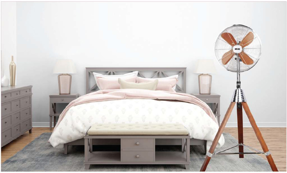 QUẠT CÂY TRANG TRÍ MR.VŨ QUẠT CÂY BOTIQUE