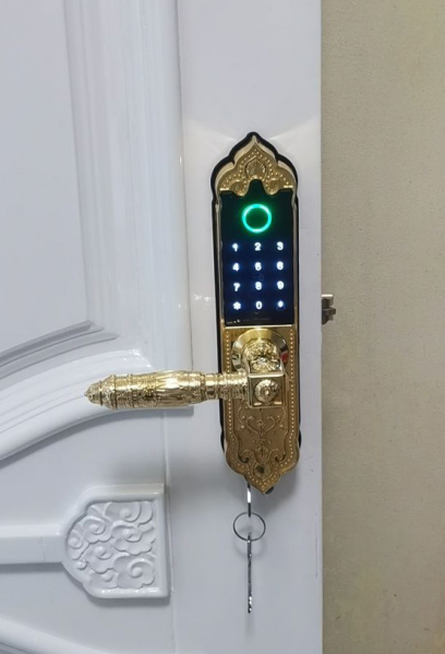 Khóa Điện Tử AVOLOCK AC-993 Gold