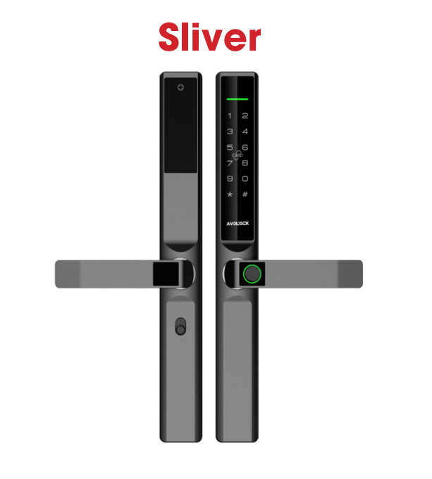 Khóa Điện Tử AVOLOCK AN-393 Silver