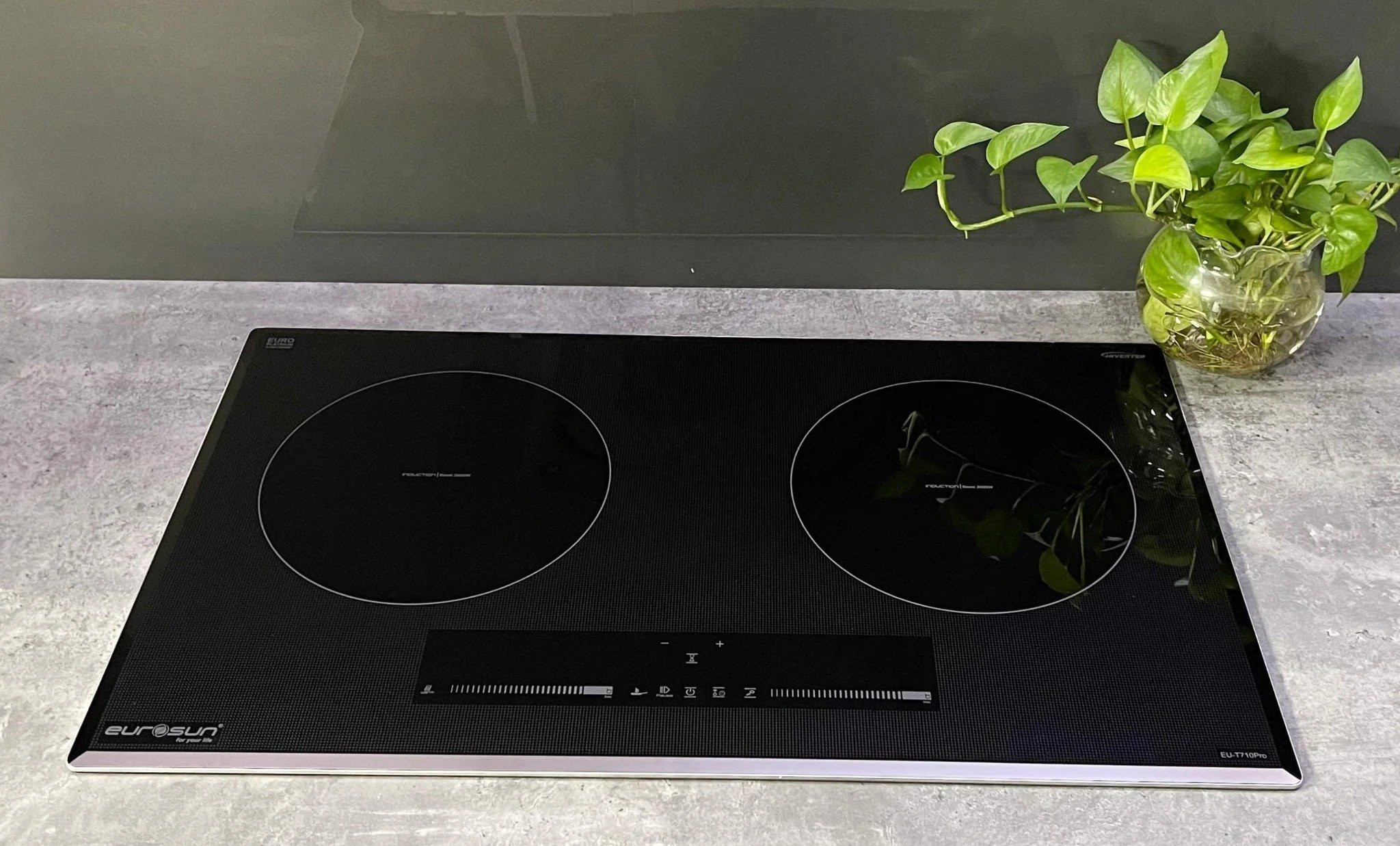 Bếp Từ Eurosun EU-T710XPRO(S)