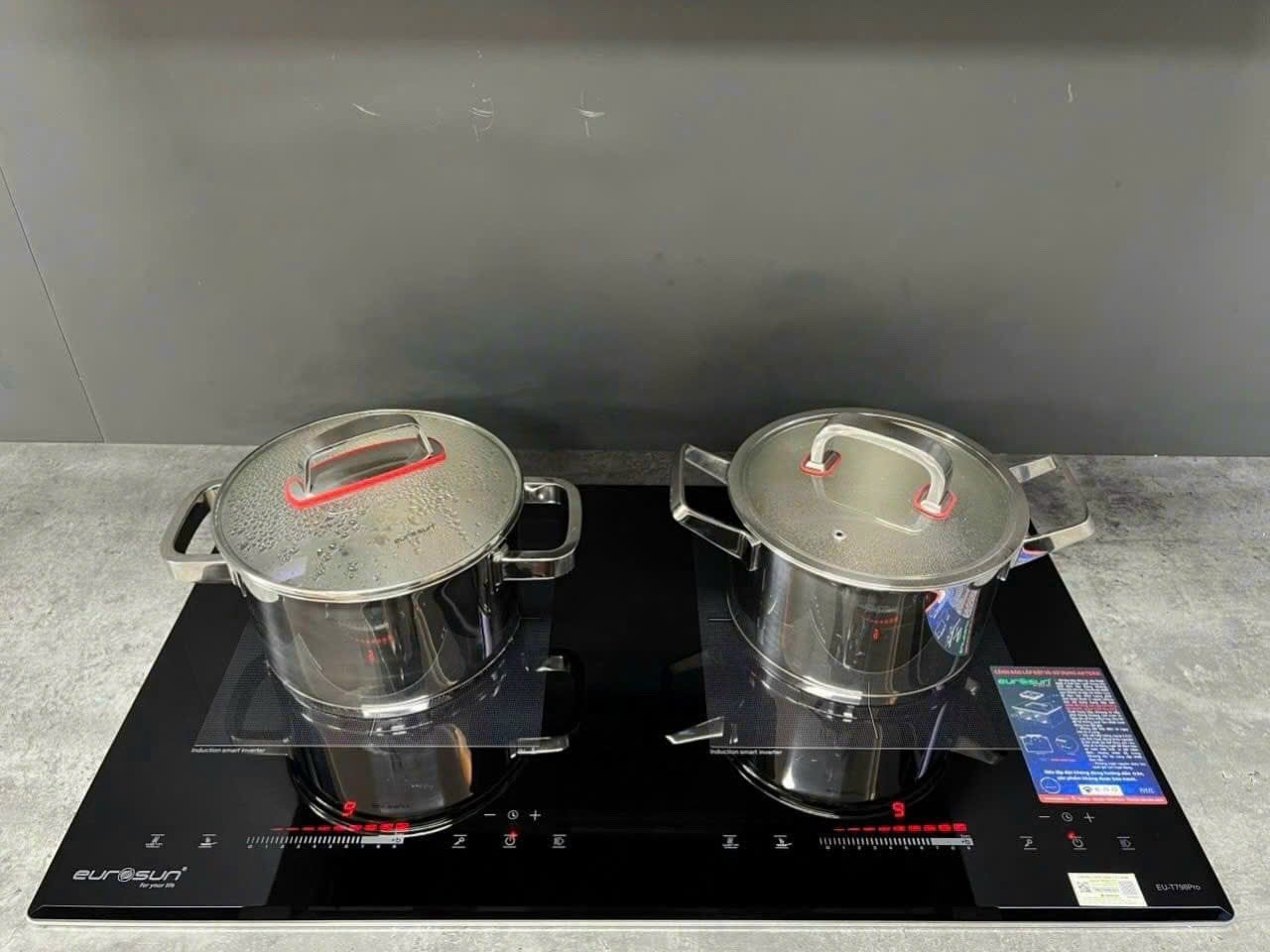 Bếp Từ EUROSUN EU-T798XPRO