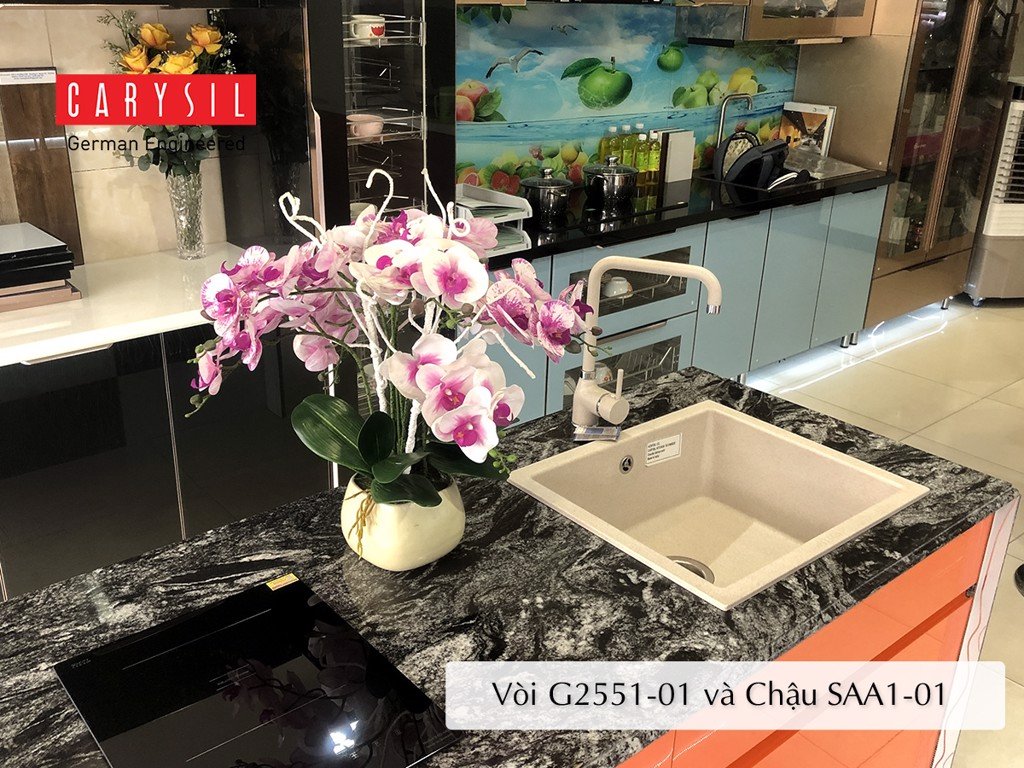 Vòi Rửa Bát Carysil G-2551-01