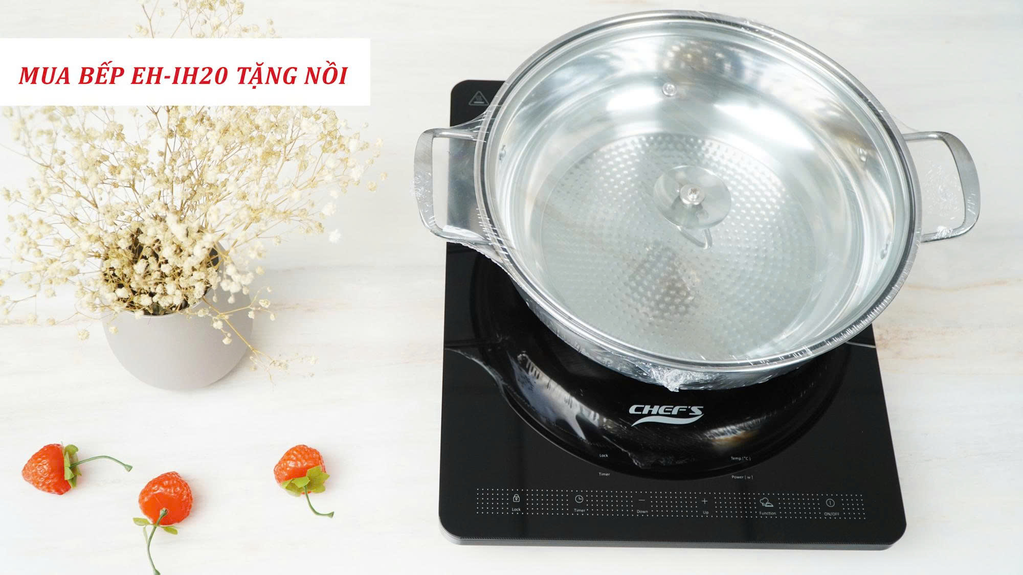 Bếp Từ Đơn Chefs EH-IH20