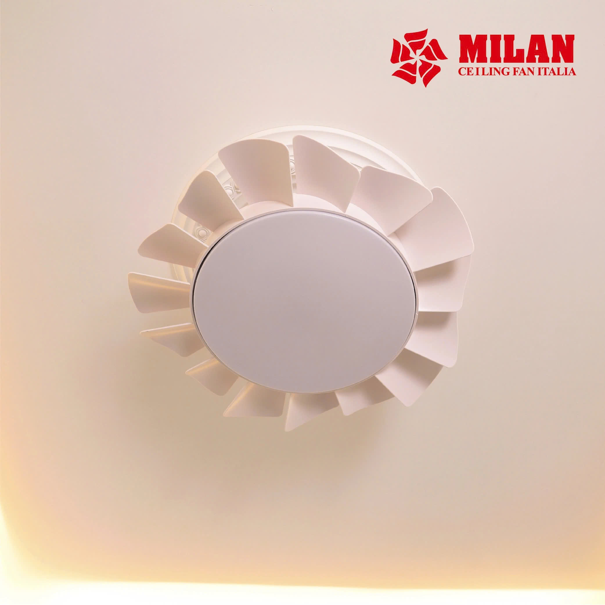 Quạt Trần FENGYE-MILAN FY566 Màu Trắng