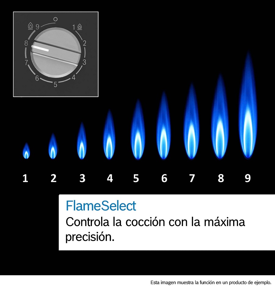 Bếp gas BOSCH PPC6A6I10 | Series 6