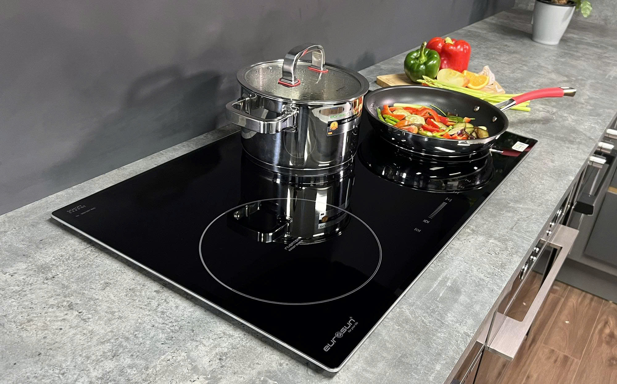 Bếp Từ EU-T881G