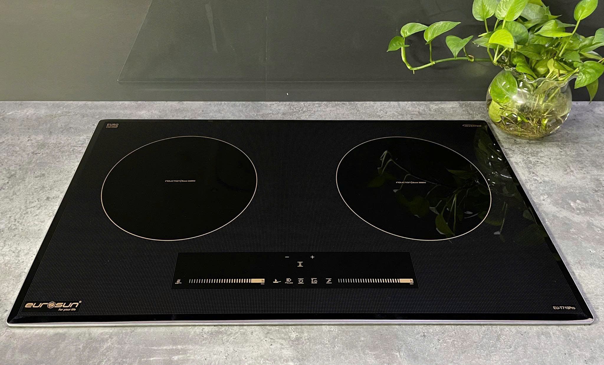 Bếp Từ Eurosun EU-T710XPRO(G)