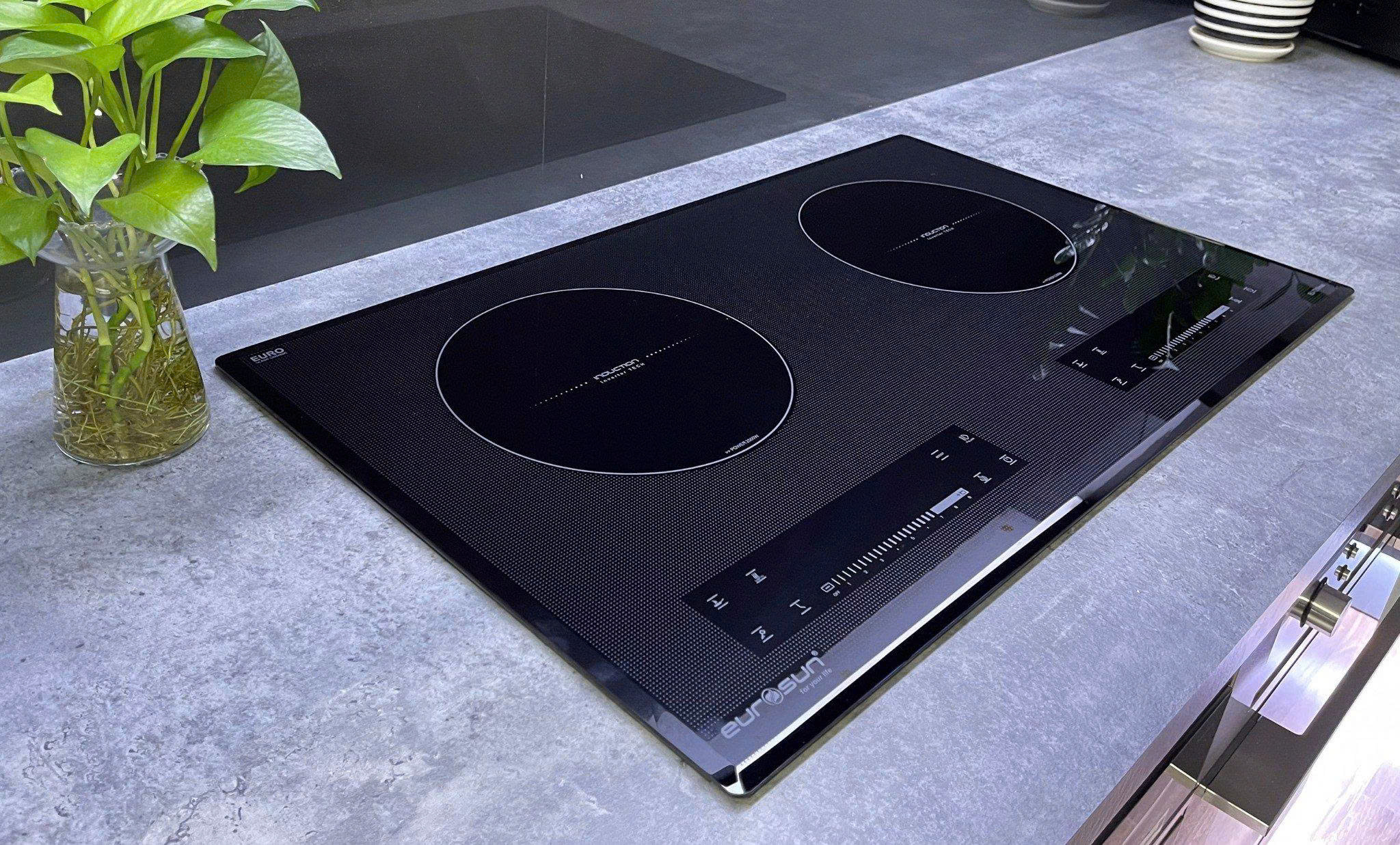 Bếp Từ Eurosun EU-T210XMAX